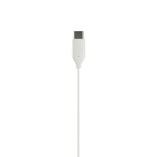 Skullcandy Trådade Hörlurar JIB USB-C Bone White