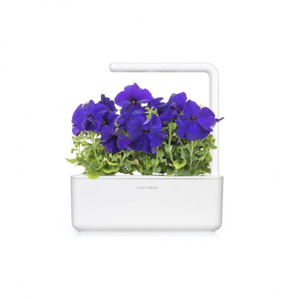 Click and Grow Smart Garden Refill 3-pack - Blå Petunia