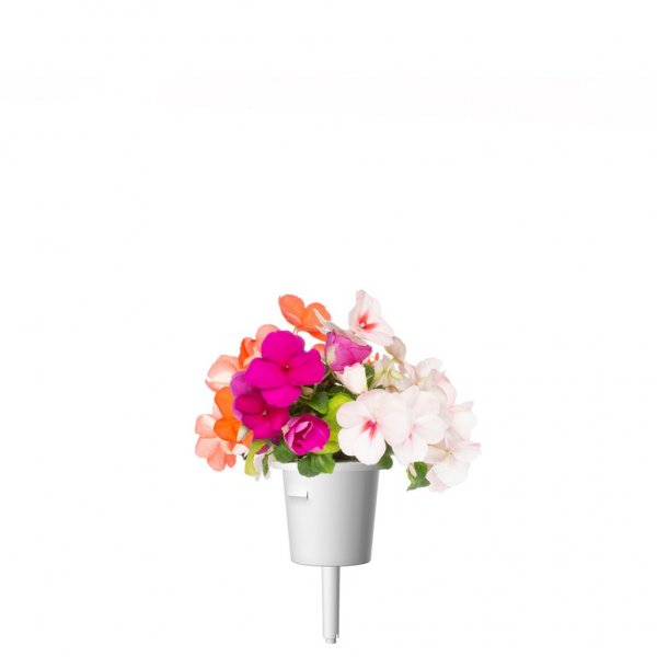 Click and Grow Smart Garden Refill 3-pack - Flitiga Lisa