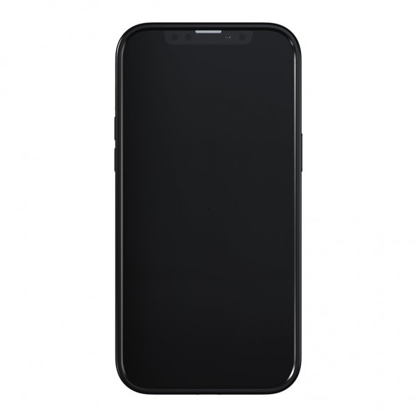 Richmond & Finch iPhone 13 Pro Max Skal Emerald Zebra
