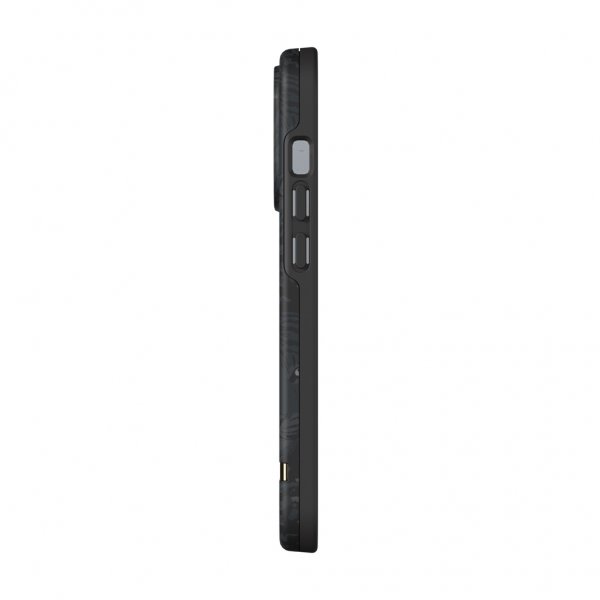 Richmond & Finch iPhone 13 Pro Skal Black Tiger