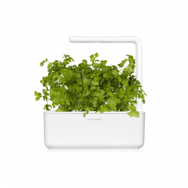 Click and Grow Smart Garden Refill 3-pack - Persilja