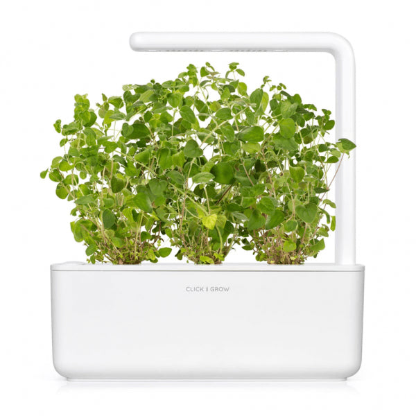 Click and Grow Smart Garden Refill 3-pack - Oregano
