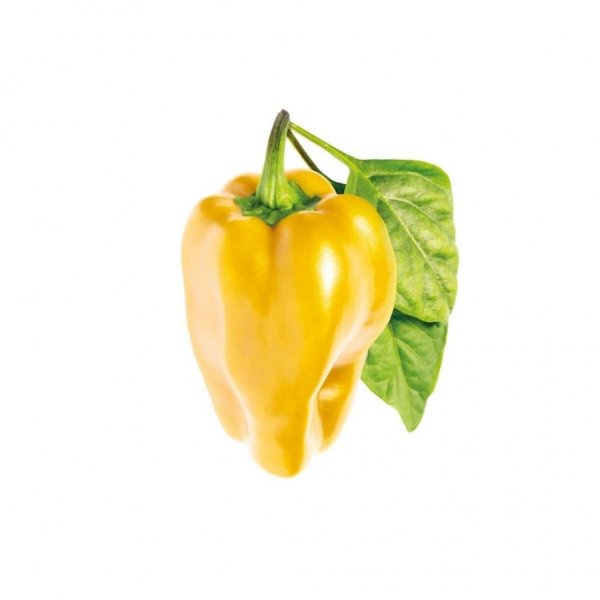 Click and Grow Smart Garden Refill 3-pack - Gul paprika