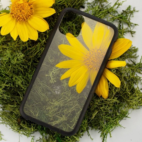 Pela iPhone 11 Pro Skal Eco Friendly Clear Svart