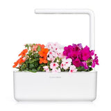 Click and Grow Smart Garden Refill 3-pack - Flitiga Lisa