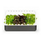 Click and Grow Smart Garden 9 Start kit - Dark Gray