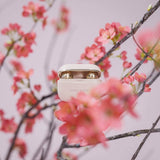 Happy Plugs Hope TWS Guld