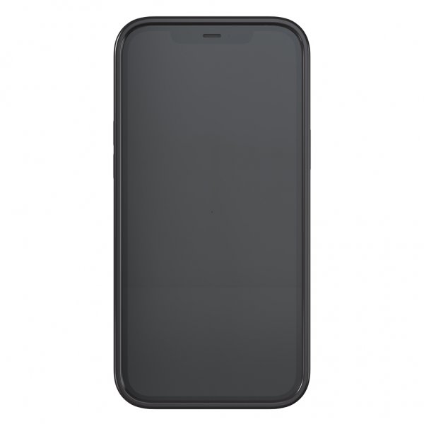 Richmond & Finch iPhone 12 Pro Max Skal Black Marble