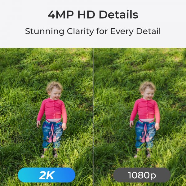 Reolink Lumus (E430) Utomhuskamera Wi-Fi Färg Nattseende