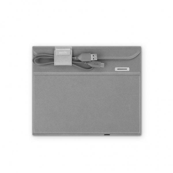 Moshi Deep Purple UV Sanitizer