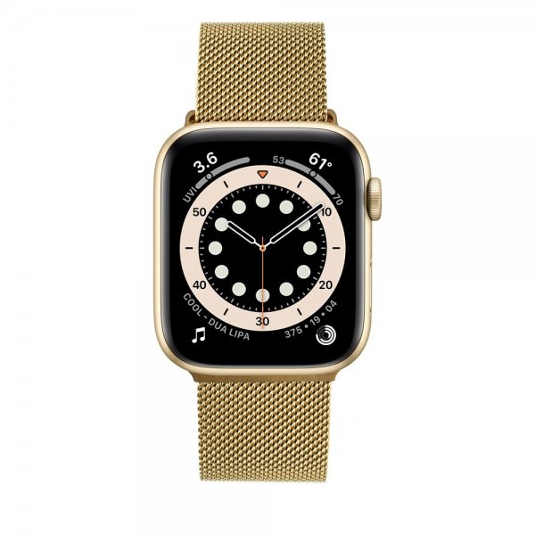 Fixed Apple Watch 38/40/41/42mm Armband Mesh Strap Guld