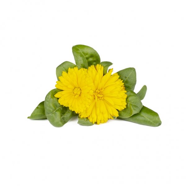 Click and Grow Smart Garden Refill 3-pack - Ringblomma