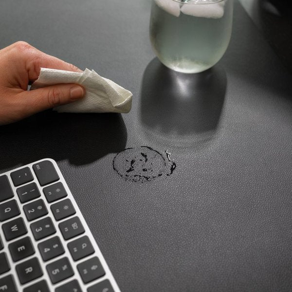 Twelve South DeskPad Svart