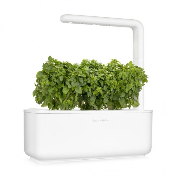 Click and Grow Smart Garden Refill 3-pack - Finbladig Basilika