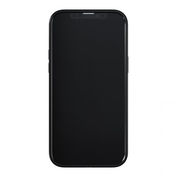 Richmond & Finch iPhone 13 Pro Max Skal Blue Cheetah