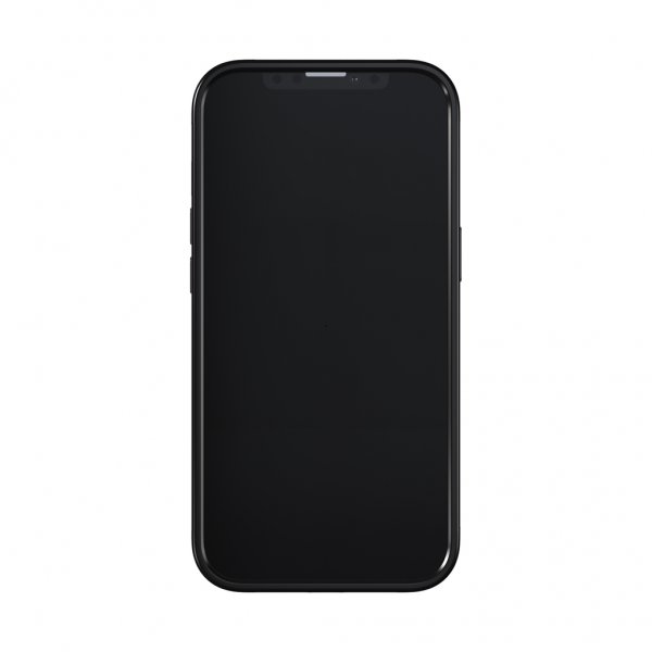 Richmond & Finch iPhone 13 Pro Skal Blue Cheetah