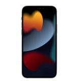 Puro iPhone 13 Pro Skal Nude Transparent