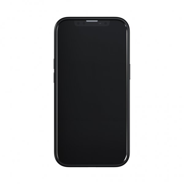 Richmond & Finch iPhone 13 Skal Emerald Zebra