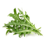 Click and Grow Smart Garden Refill 3-pack - Ruccola