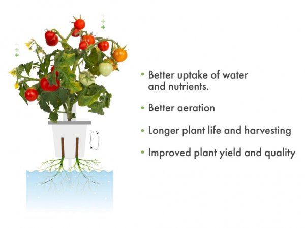 Click and Grow Pro Plant Cups 9 pack