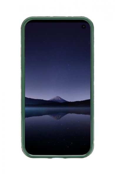 Richmond & Finch Samsung Galaxy S10 Skal Green Leopard