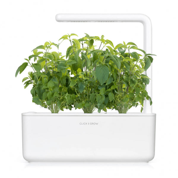 Click and Grow Smart Garden Refill 3-pack - Thai basilika