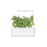 Click and Grow Smart Garden Refill 3-pack - Dwarf Pea