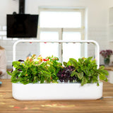 Click and Grow Smart Garden 9 Start Kit Vit