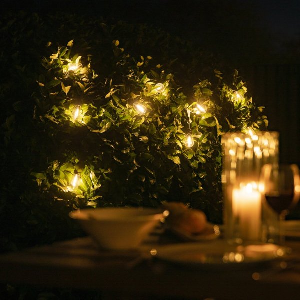Lite bulb moments Smart String Lights - Vintage Edison
