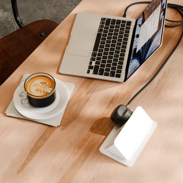 Twelve South PowerCord USB-C Laddare 3 meter Slate